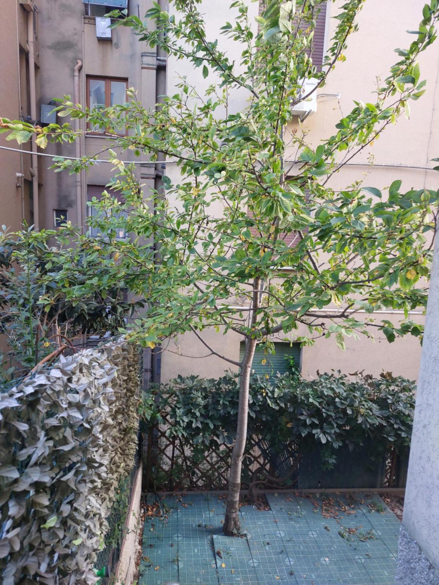 Il Ciliegio - Casa Apartment Macerata